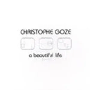 A Beautiful Life