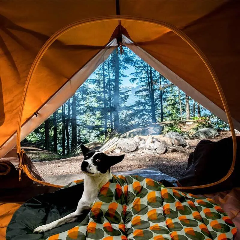 Adventure Dog Sleeping Bag