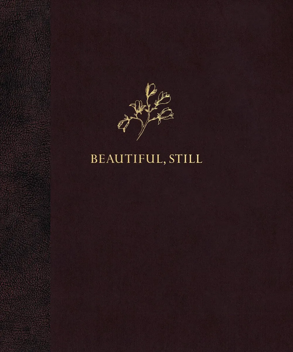 Beautiful, Still.