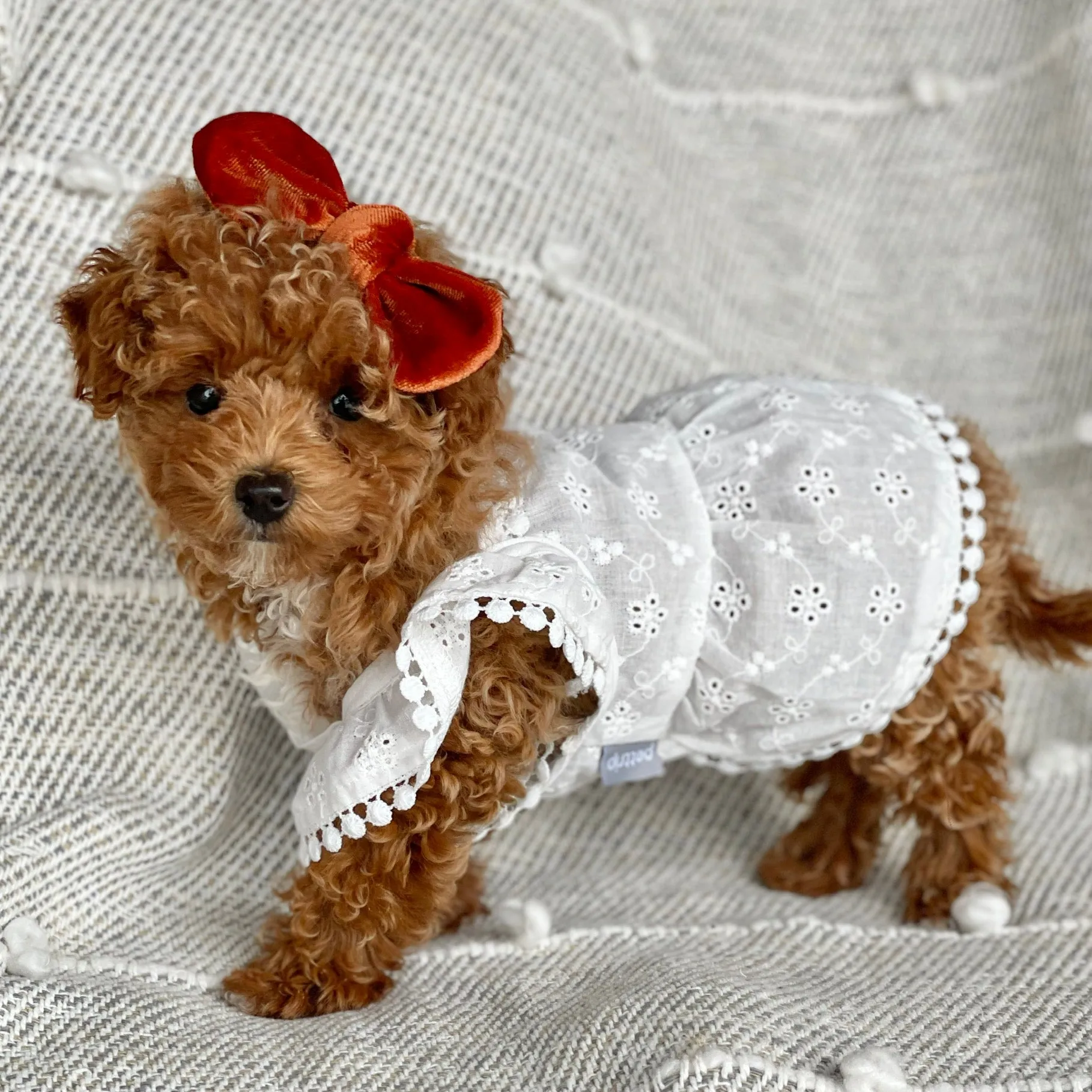 Eyelet Dress