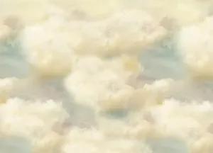 Heavenly Sky Floor-rf