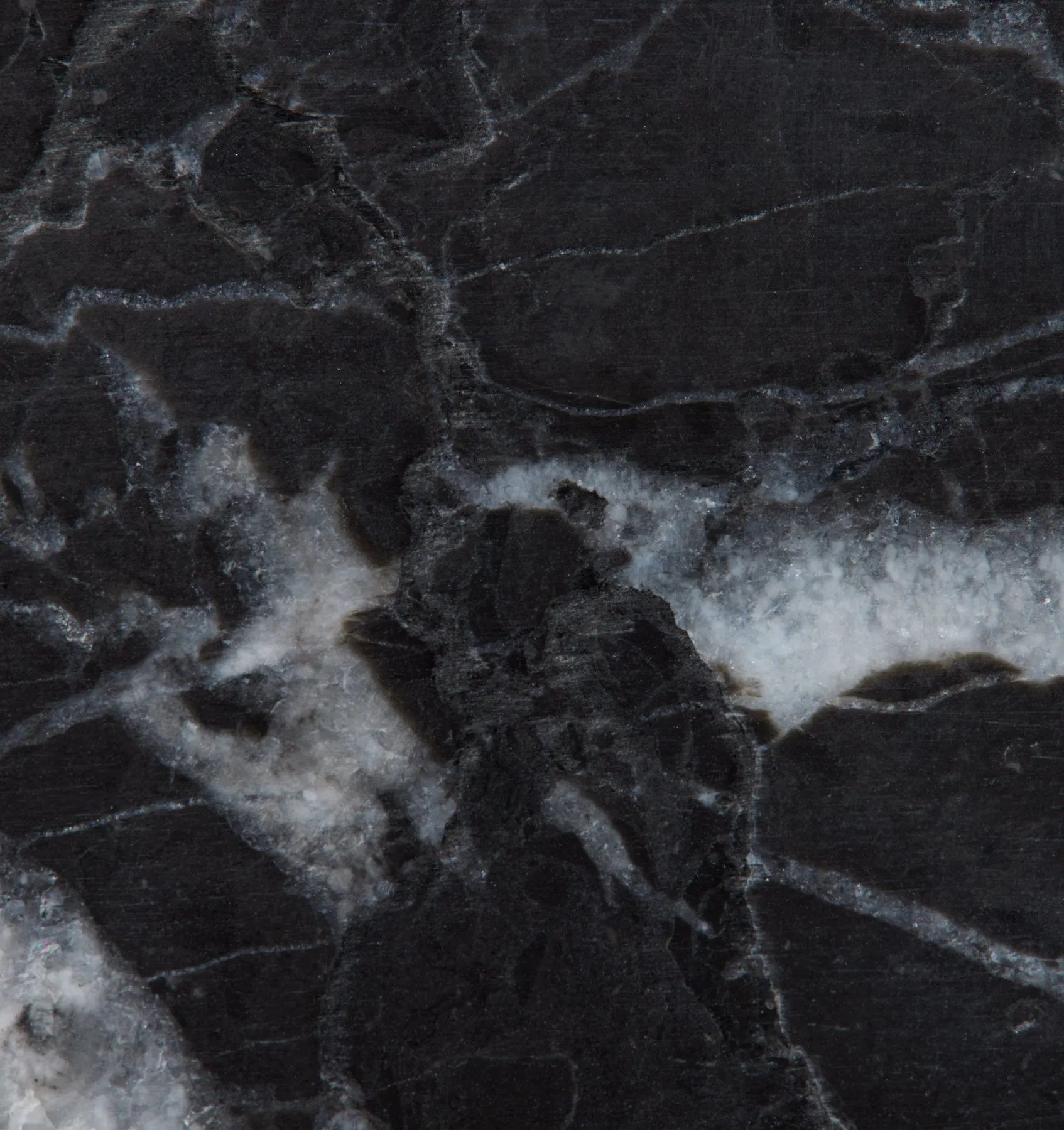 Marquina Collection