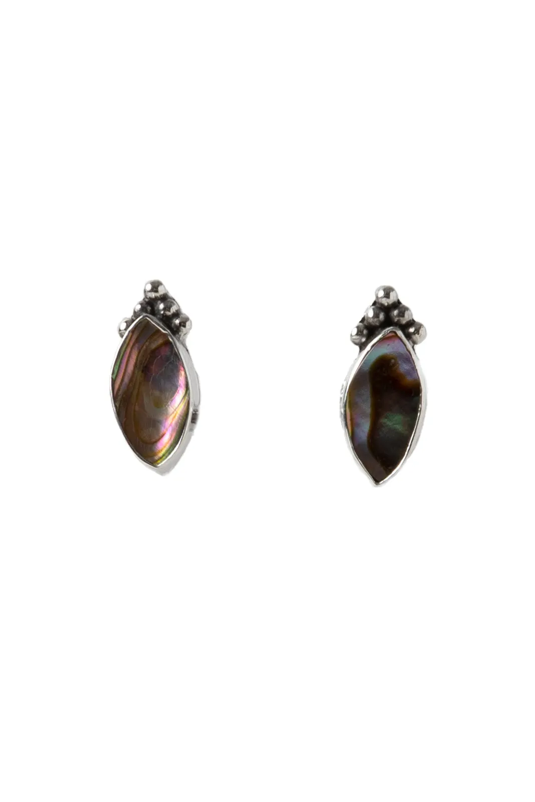 Paua Shell Royal Studs