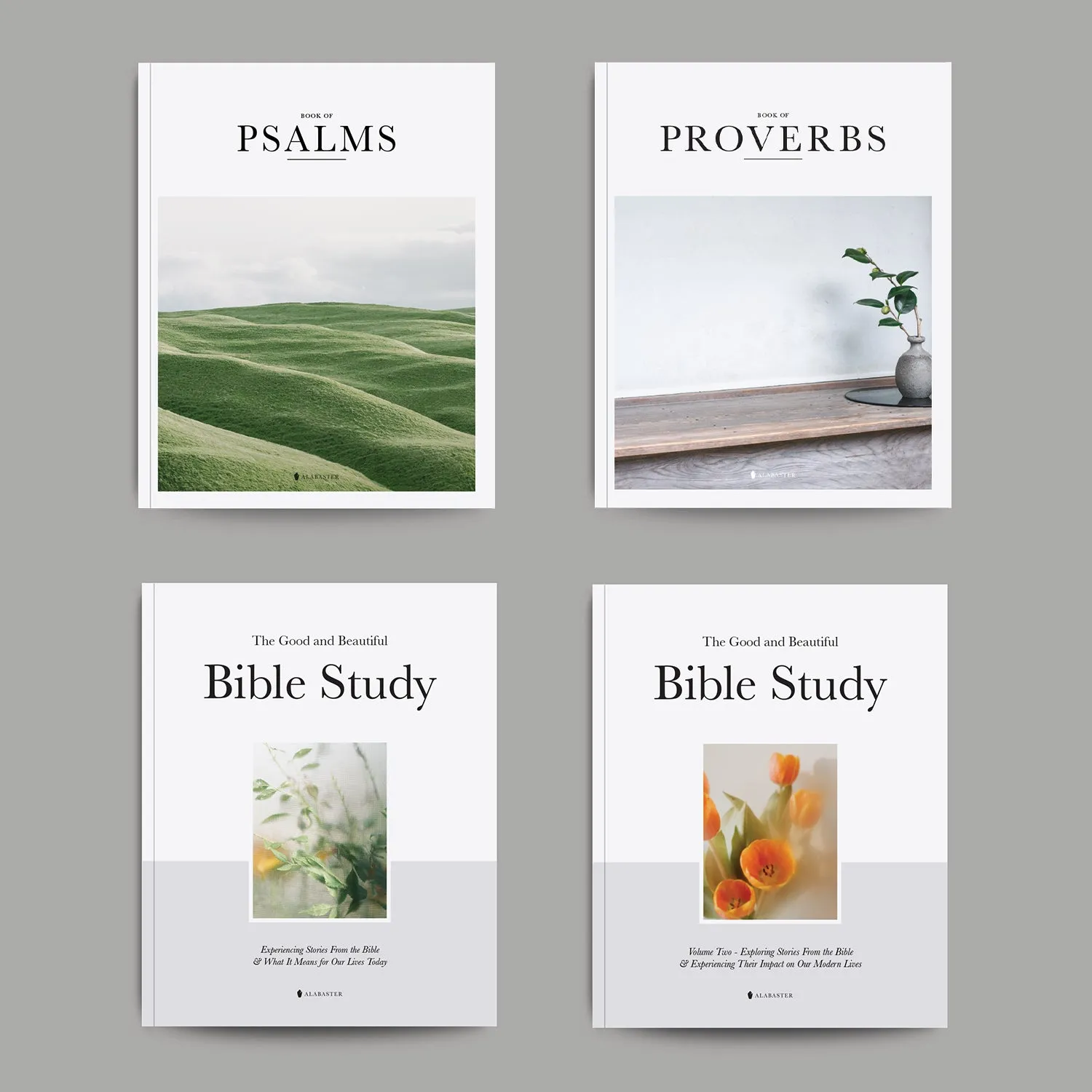 The Study Bundle