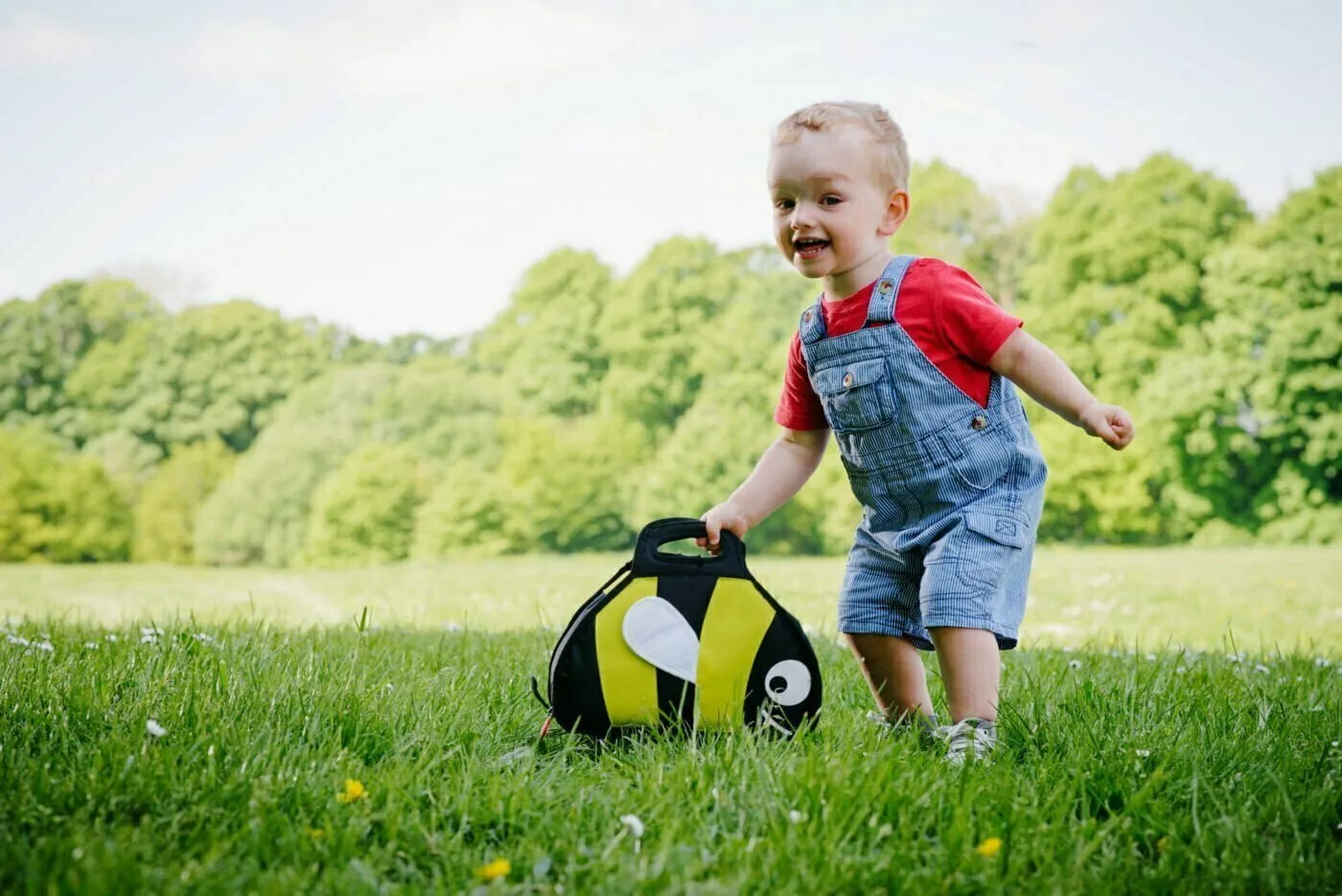 Tum Tum Insulated Lunch Box (Bee)