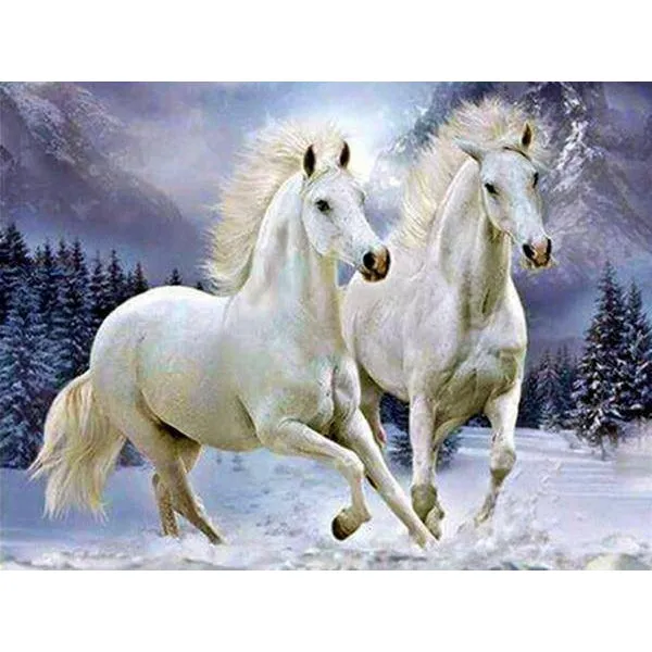 Two Beautiful Horse